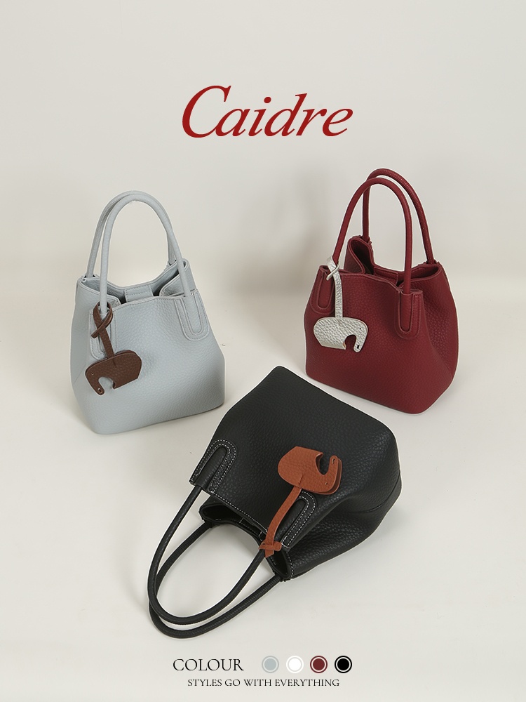 Caidre Luxus-Tragetasche 2026  – Luxury Bags Korea Bewertung und Preis